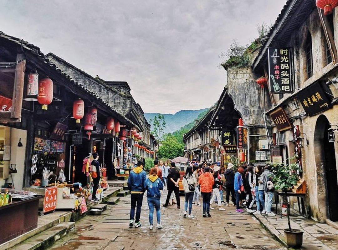 解救金刚鹦鹉